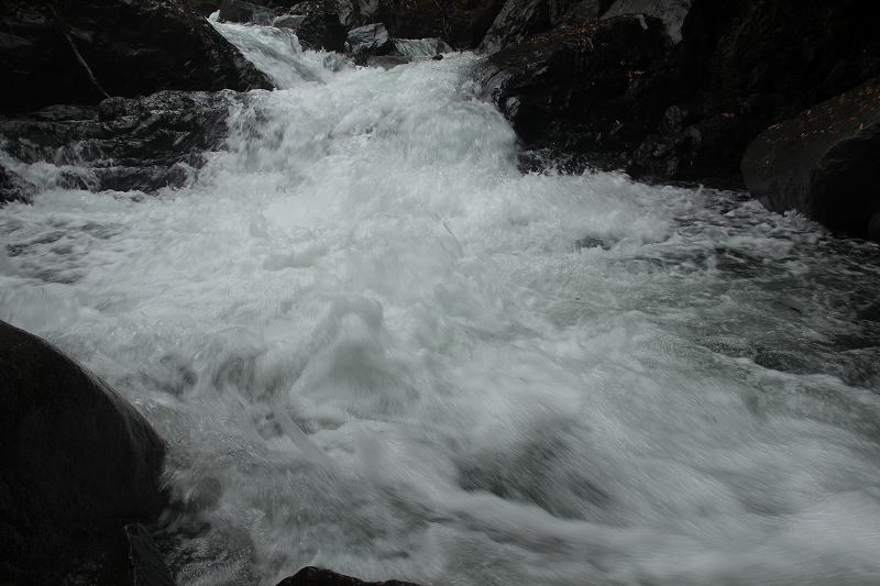 a0188405_22481663.jpg