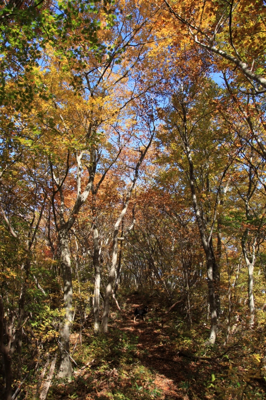 b0050305_11324035.jpg