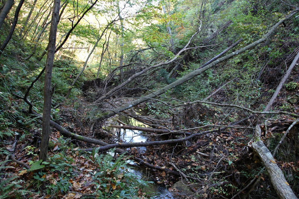 b0050305_952019.jpg