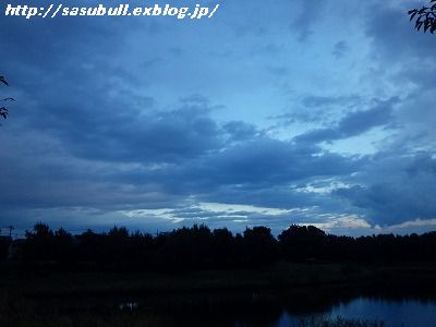 e0145805_1724215.jpg