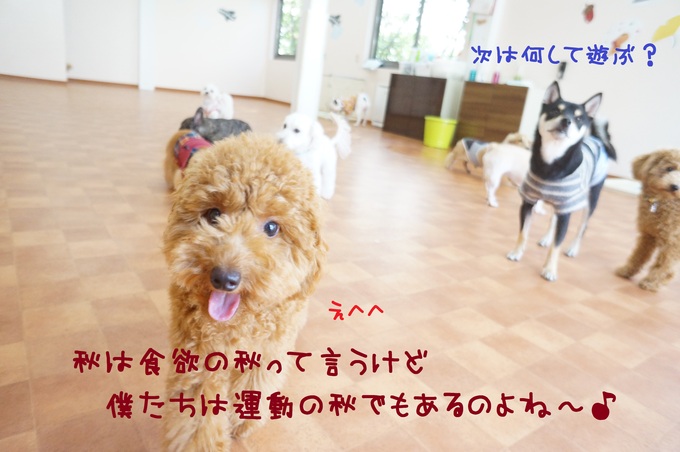 d0220513_1715851.jpg