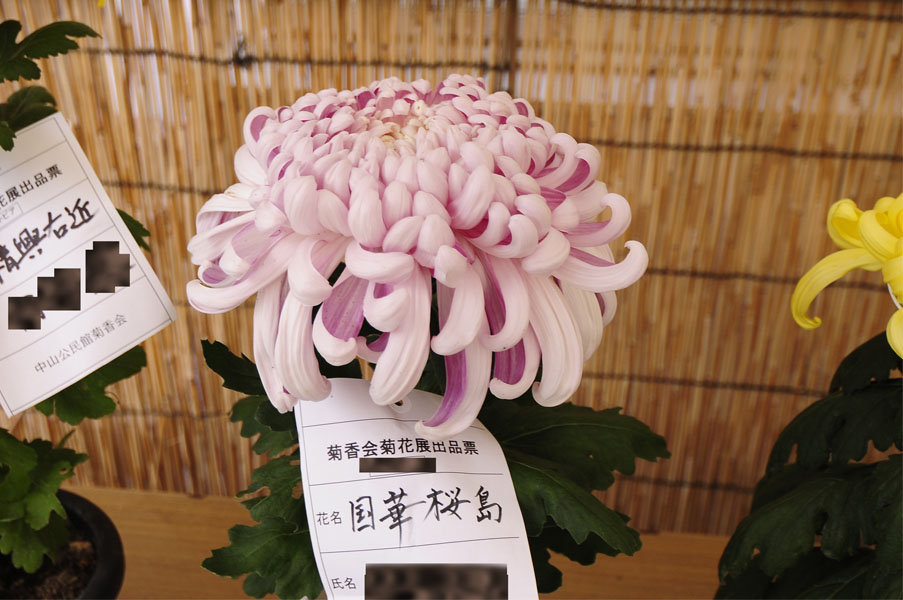 f0206417_9555979.jpg