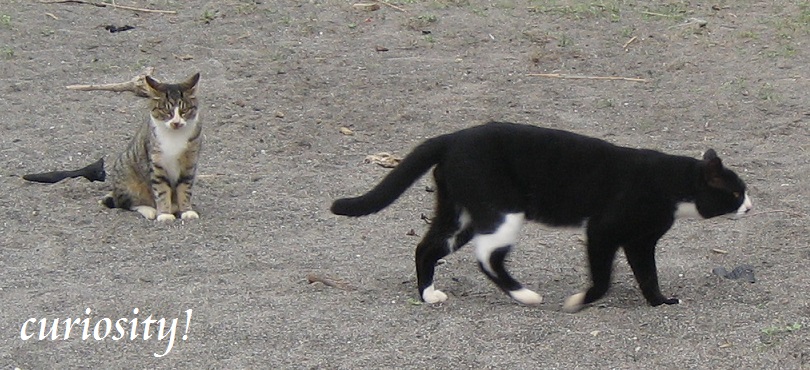 a0078020_23264019.jpg