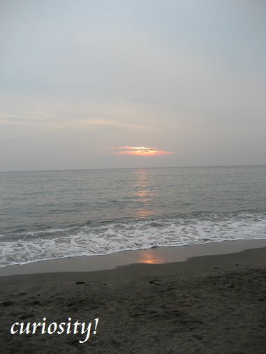 a0078020_23354526.jpg
