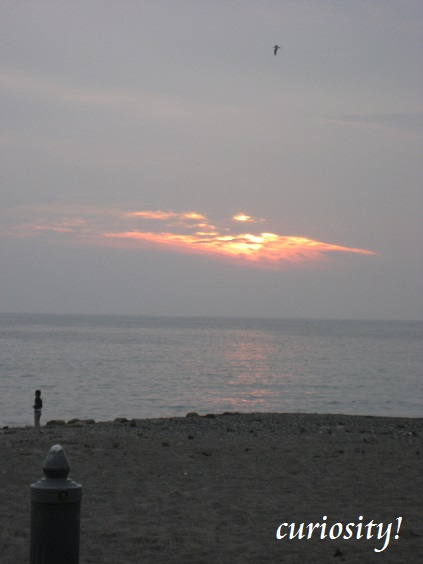 a0078020_2336255.jpg