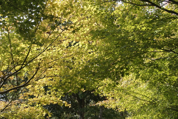 c0020320_16255672.jpg