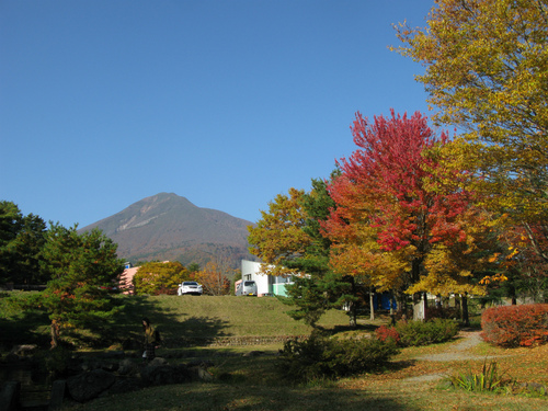 f0128821_2233949.jpg