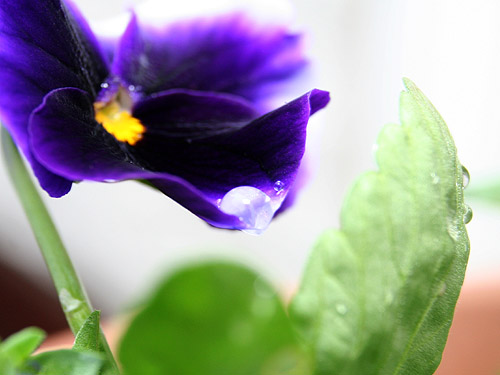 e0153022_2013919.jpg