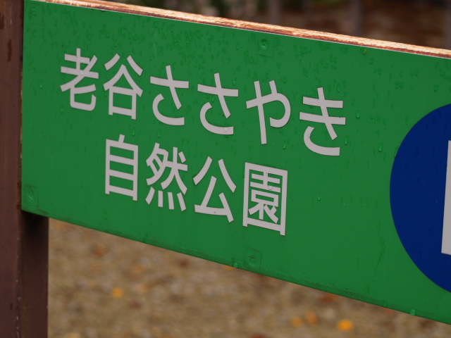 e0256122_1547386.jpg