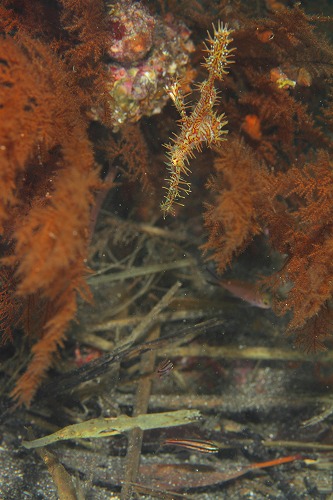 f0206424_14145480.jpg