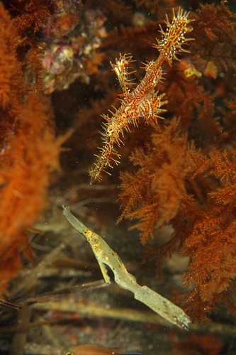 f0206424_14155384.jpg