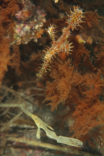 f0206424_1415610.jpg