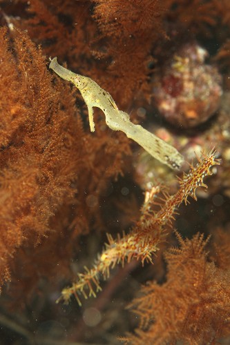 f0206424_1434471.jpg