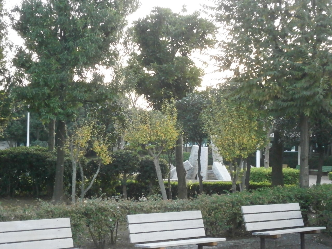 a0214329_644351.jpg