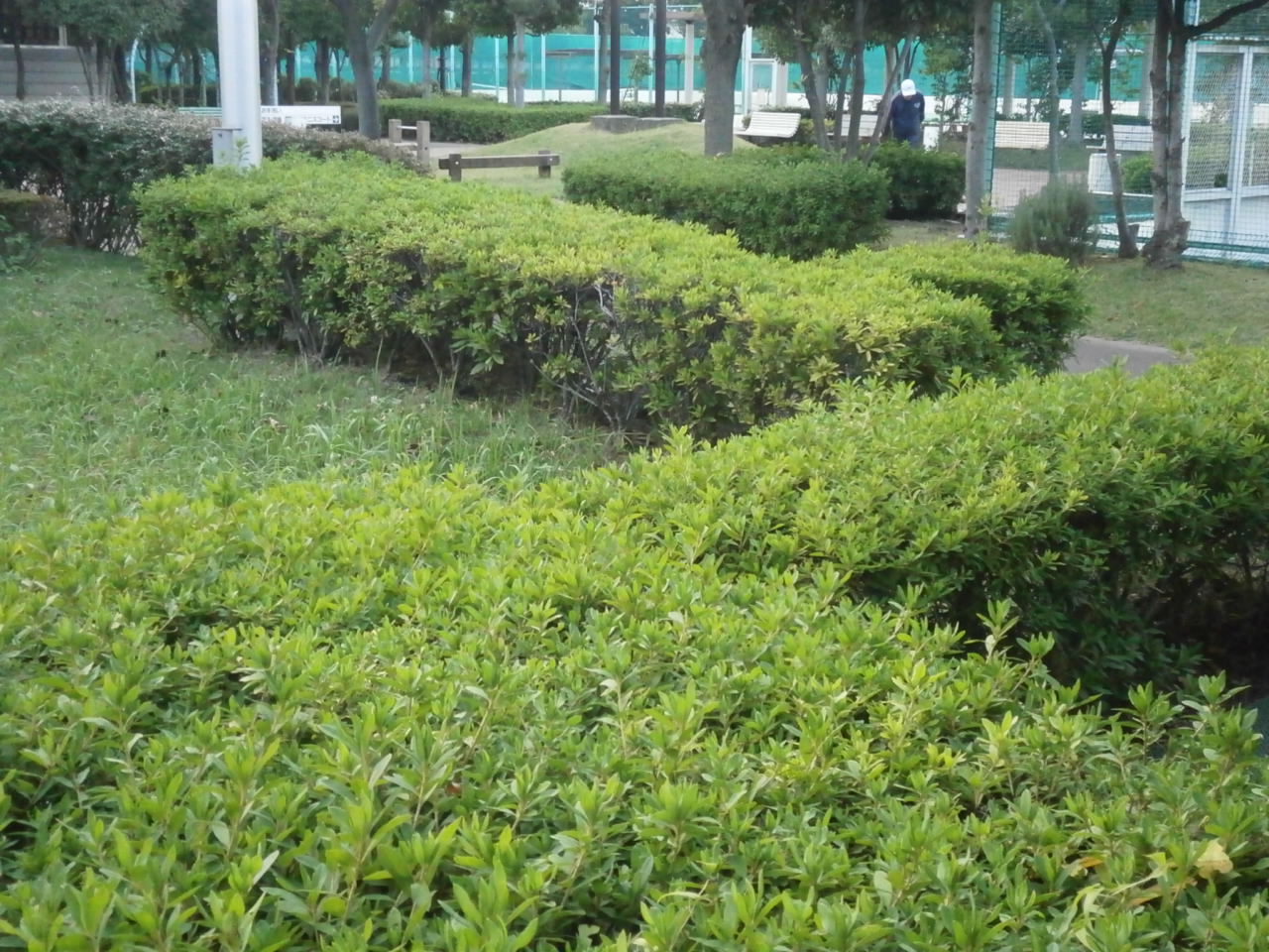 a0214329_646291.jpg