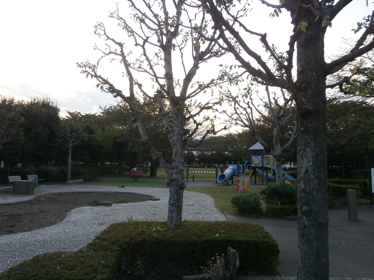 a0214329_6524153.jpg