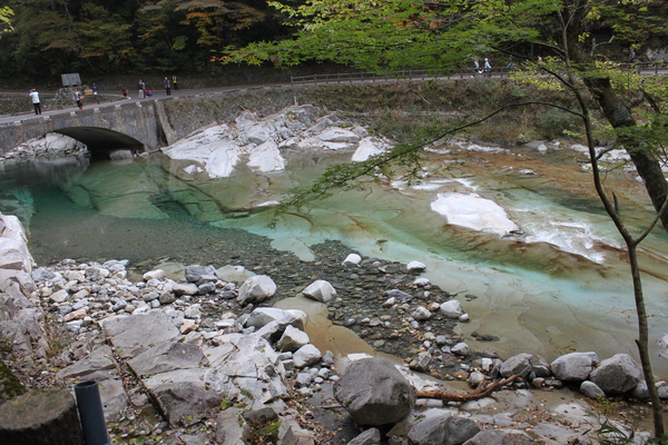 a0139631_11412792.jpg