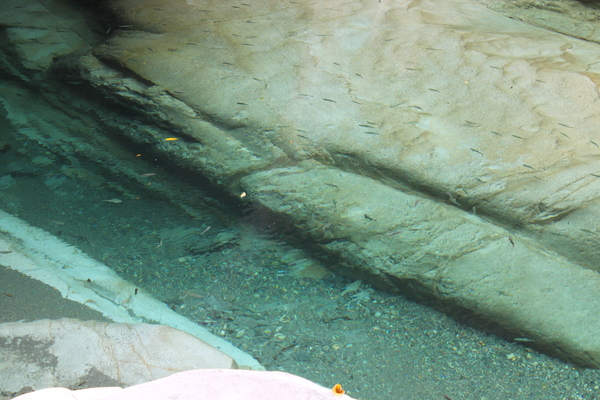 a0139631_11424821.jpg