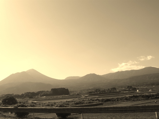 a0206332_9264013.jpg