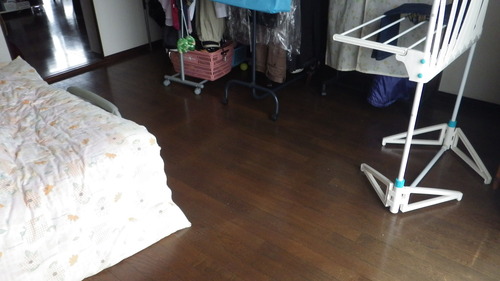 e0305733_6513813.jpg