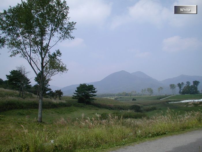 c0227134_20124594.jpg