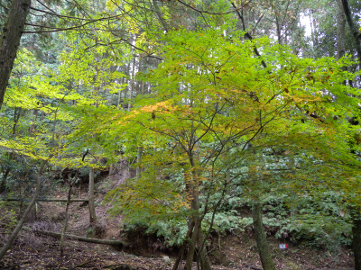 e0272335_20213220.jpg