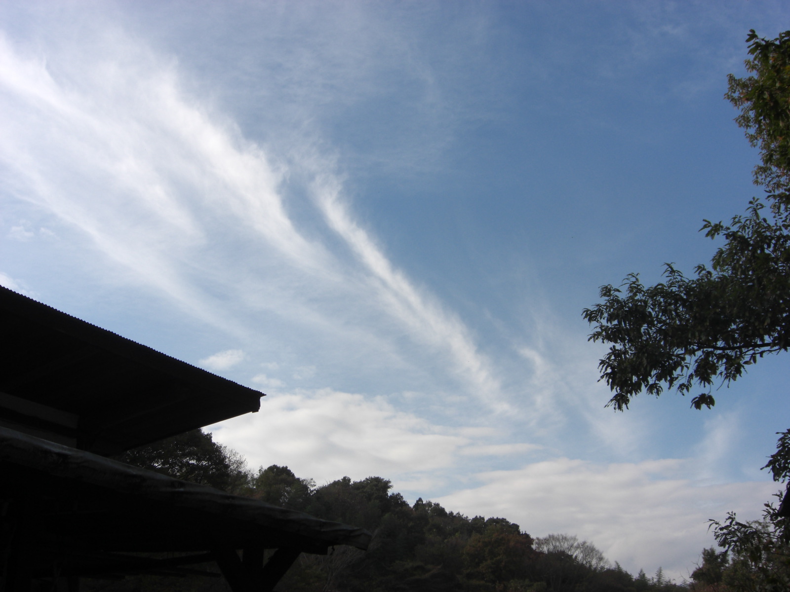 a0163738_20425866.jpg