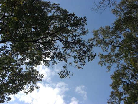 a0163738_20444150.jpg