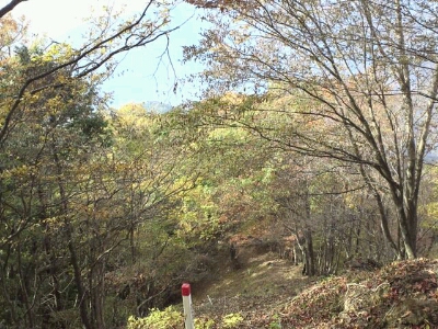 d0107938_83271.jpg