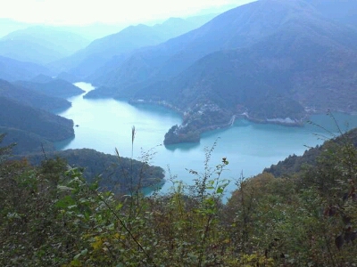 d0107938_8333033.jpg