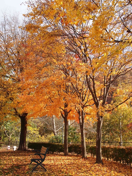 c0117239_1063412.jpg