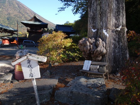 b0080342_1237964.jpg