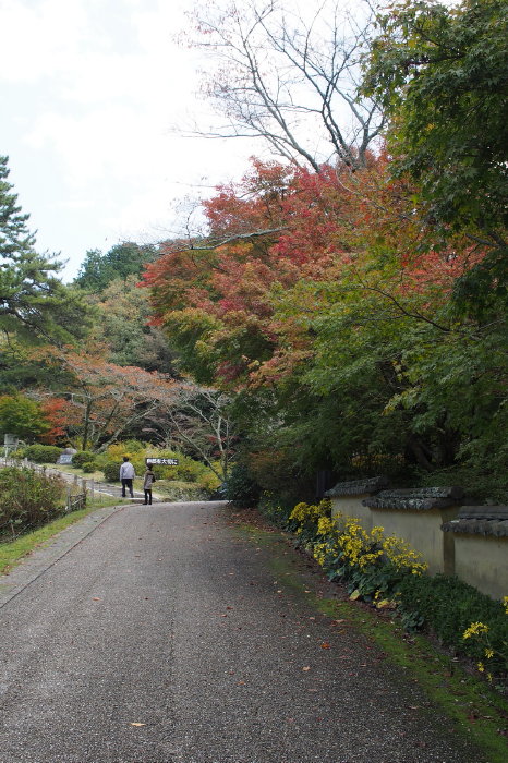 b0092844_17494768.jpg