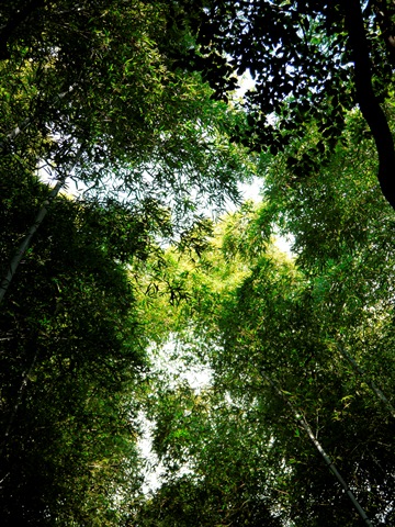 e0100046_16191583.jpg