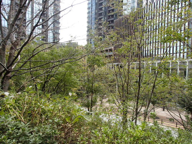 d0063149_20172756.jpg