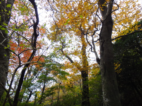 c0179351_20384234.jpg