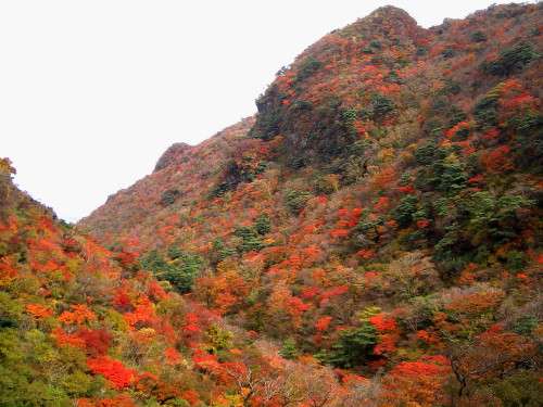 c0179351_2053226.jpg