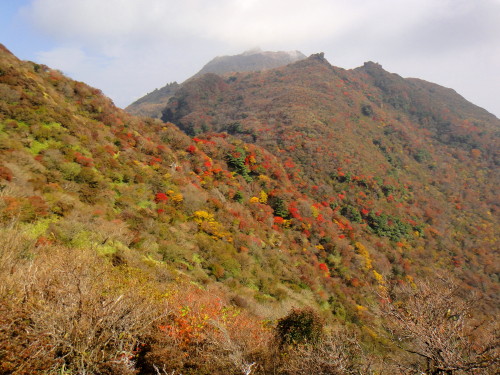 c0179351_20545035.jpg