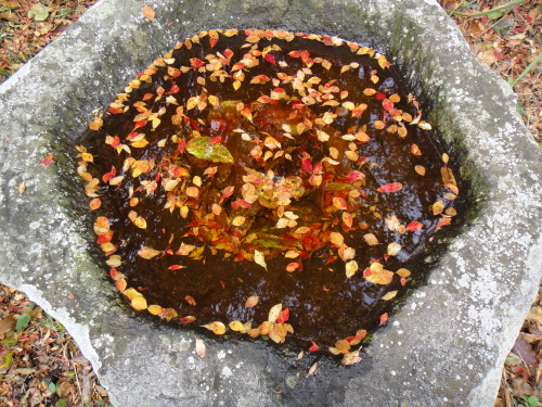 c0179351_20552551.jpg
