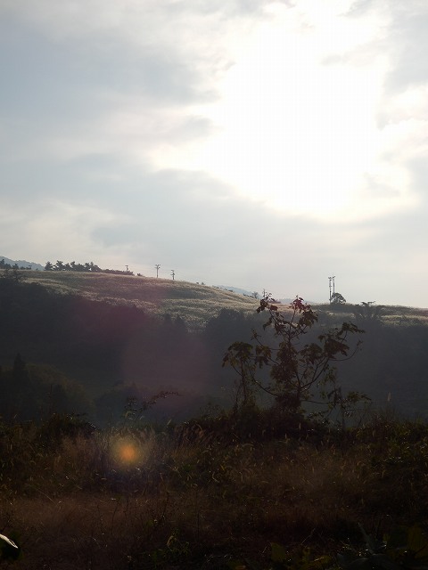 e0184251_10105767.jpg