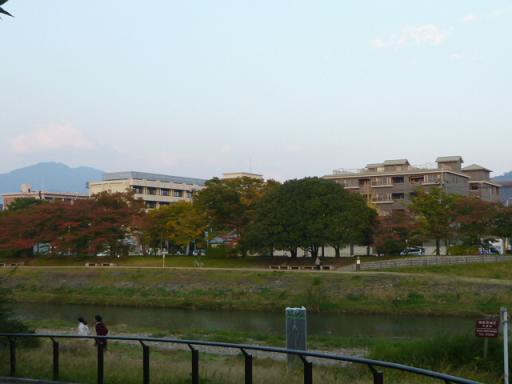 f0181251_13294854.jpg