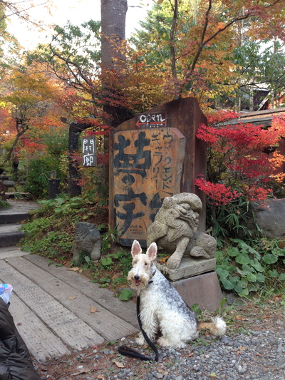 c0206455_17151248.jpg