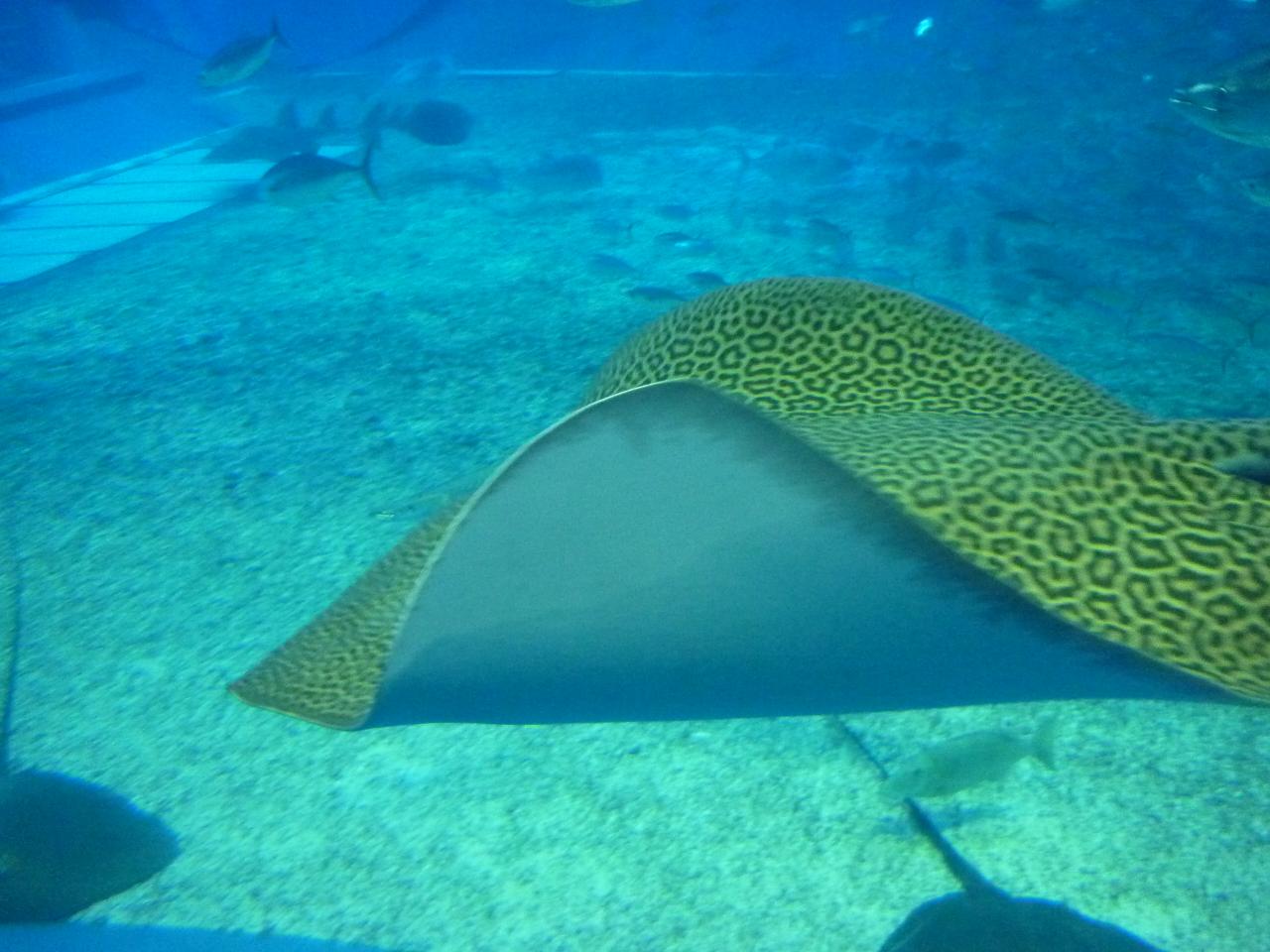 e0198455_1428207.jpg