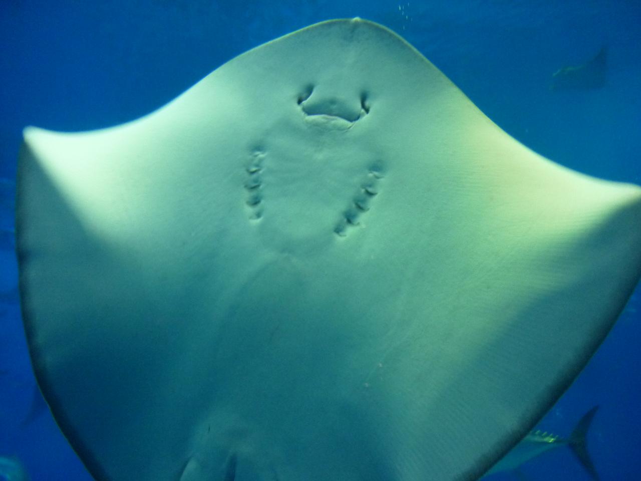 e0198455_14284463.jpg