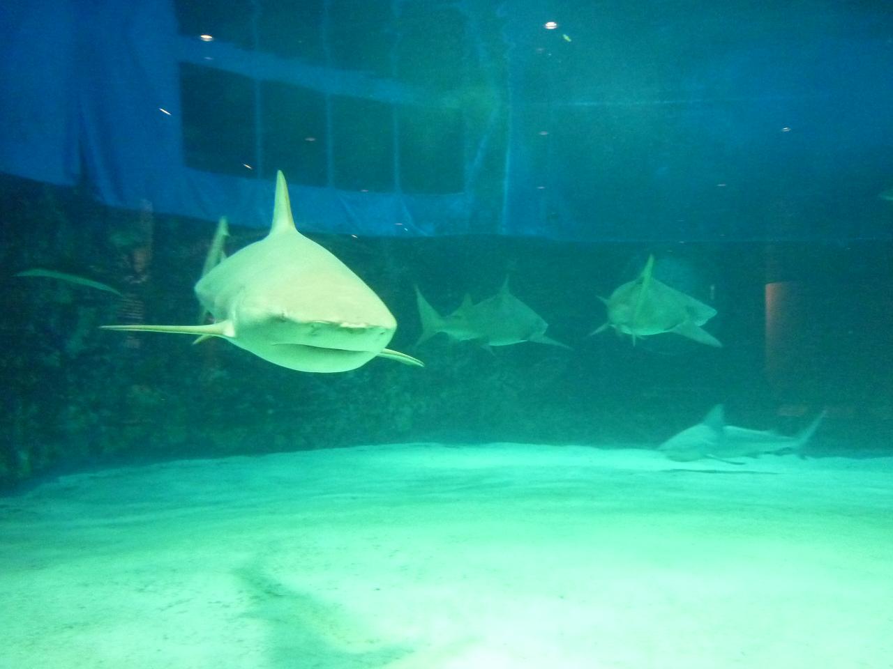 e0198455_14291766.jpg