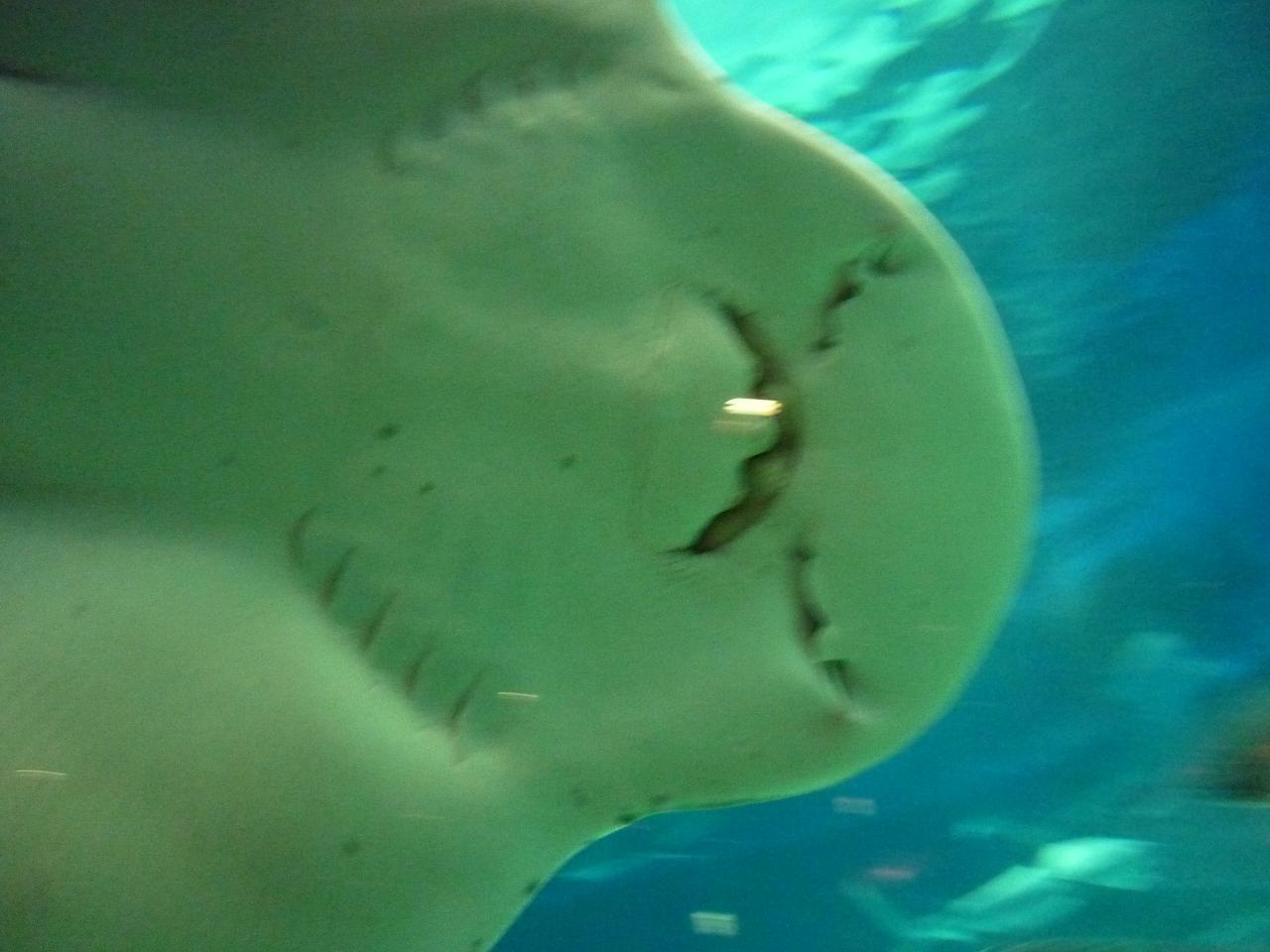 e0198455_14301584.jpg
