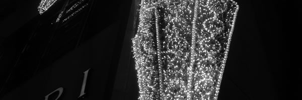 c0062361_17543523.jpg