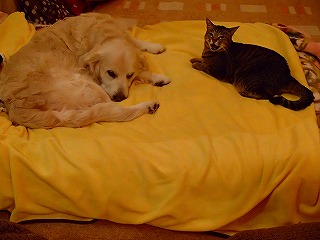a0104162_022081.jpg