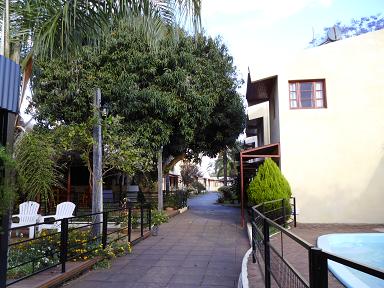 a0165963_520788.jpg