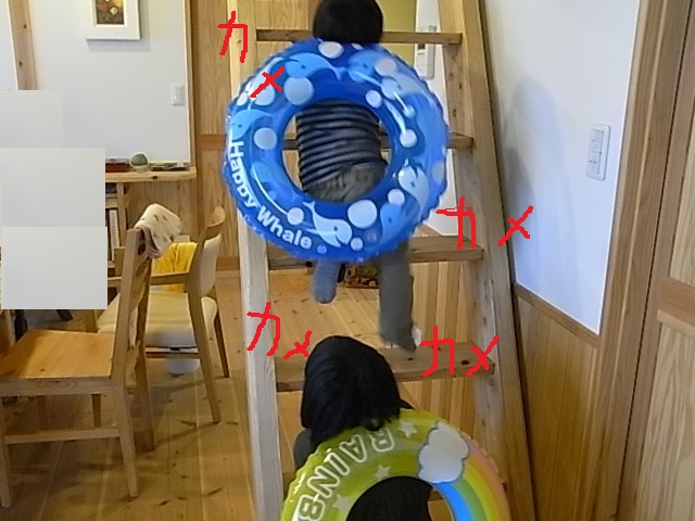 a0146070_8362450.jpg
